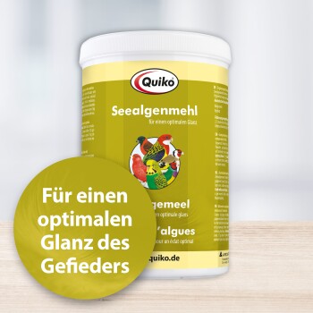 Quiko Seealgenmehl 400 g: Für Ziervögel mit dunklen Pigmentierungen
