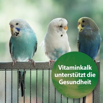 Quiko Vitaminkalk 1.000 g: Mineralien für Ziervögel