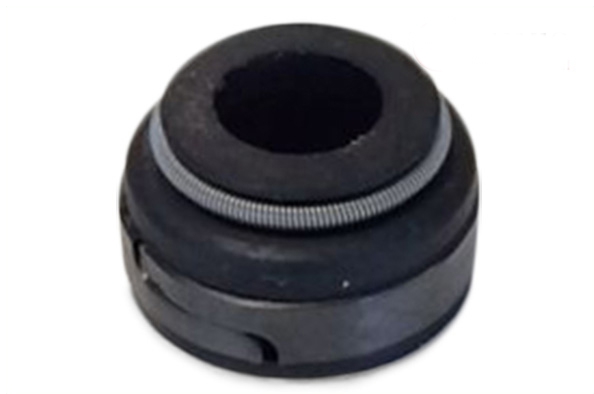 ELWIS ROYAL Ventilschaftdichtung 1655533 Dichtring, Ventilschaft VOLVO,940 II Kombi (945),940 Kombi (945),240 Kombi (P245),740 Kombi (745)