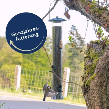 Lyra Pet Sonnenblumenkerne schwarz 25 kg