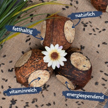 Lyra Pet Gefüllte Kokosnuss mit Löchern 4 Stück