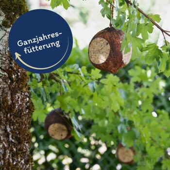 Lyra Pet Gefüllte Kokosnuss mit Löchern 4 Stück