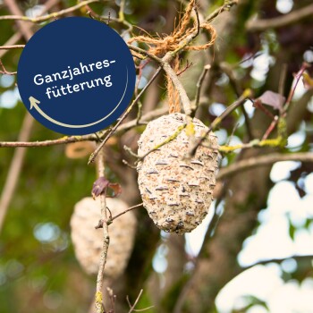 Lyra Pet Riesenzapfen 3x4 Stück