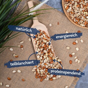 Lyra Pet Erdnusskerne teilblanchiert 20 kg