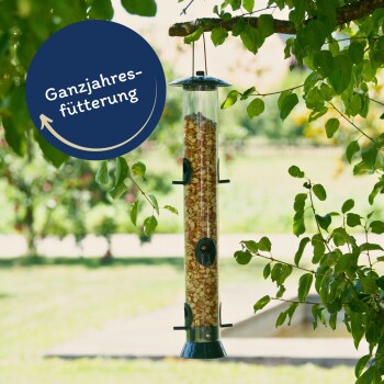 Lyra Pet Erdnusskerne teilblanchiert 20 kg