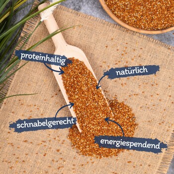 Lyra Pet Hirse rot lose 20 kg