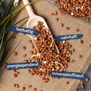 Lyra Pet Erdnusskerne mit Haut 10 kg