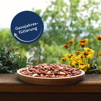 Lyra Pet Erdnusskerne mit Haut 10 kg