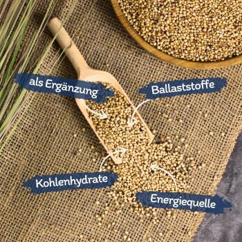 Lyra Pet Dari weiß 10 kg