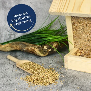 Lyra Pet Dari weiß 10 kg