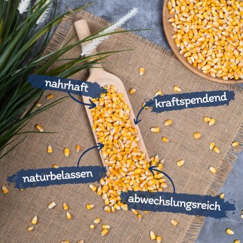 Lyra Pet Körnermais Futtermais 20 kg