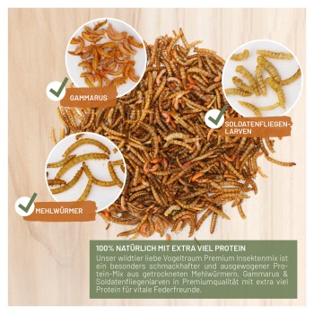 wildtier liebe Vogeltraum - Premium Insektenmix 500g