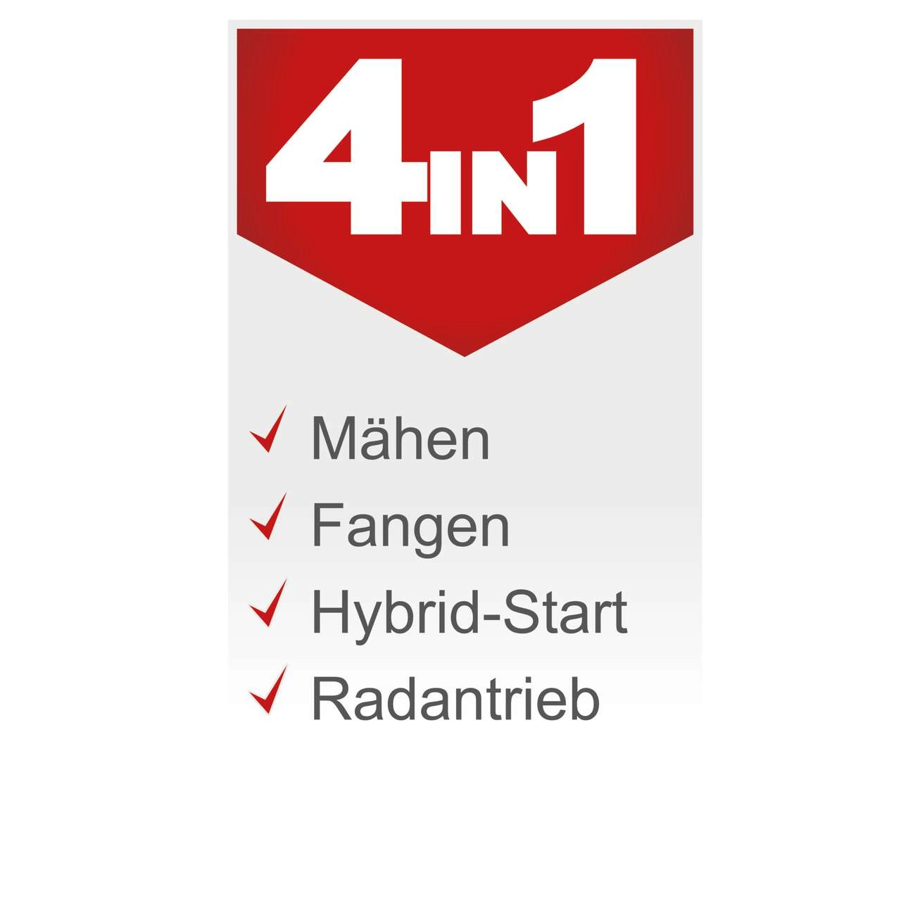 Aufsitzrasenmäher MR196-61 Scheppach - 6.5PS | 61cm Schnittbreite | 150L Fangsack | Elektro-Start