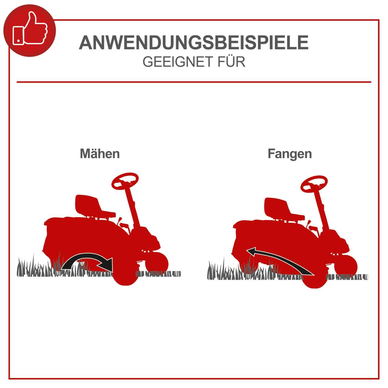 Aufsitzrasenmäher MR196-61 Scheppach - 6.5PS | 61cm Schnittbreite | 150L Fangsack | Elektro-Start