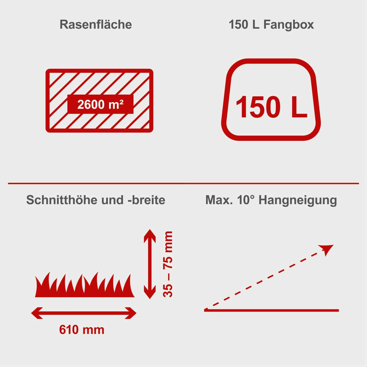 Aufsitzrasenmäher MR196-61 Scheppach - 6.5PS | 61cm Schnittbreite | 150L Fangsack | Elektro-Start