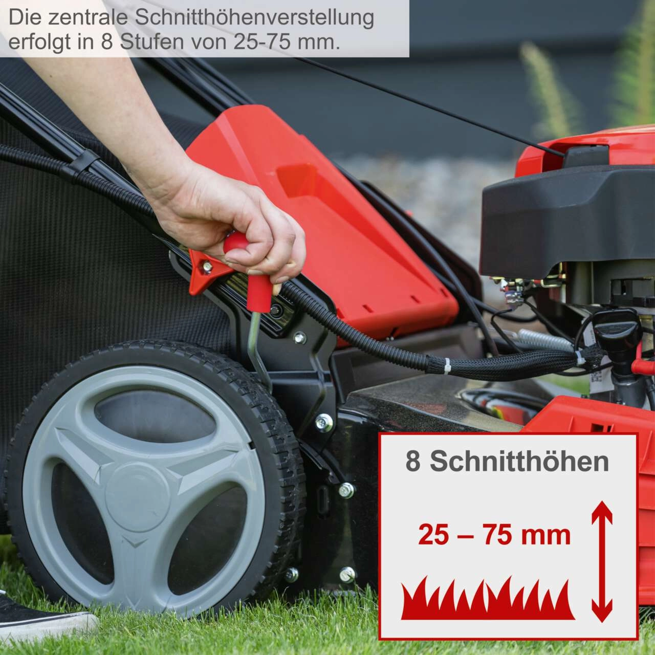 Rasenmäher MS150-46E Scheppach - 3,7PS | 46cm | 55L | Antrieb | E-Start