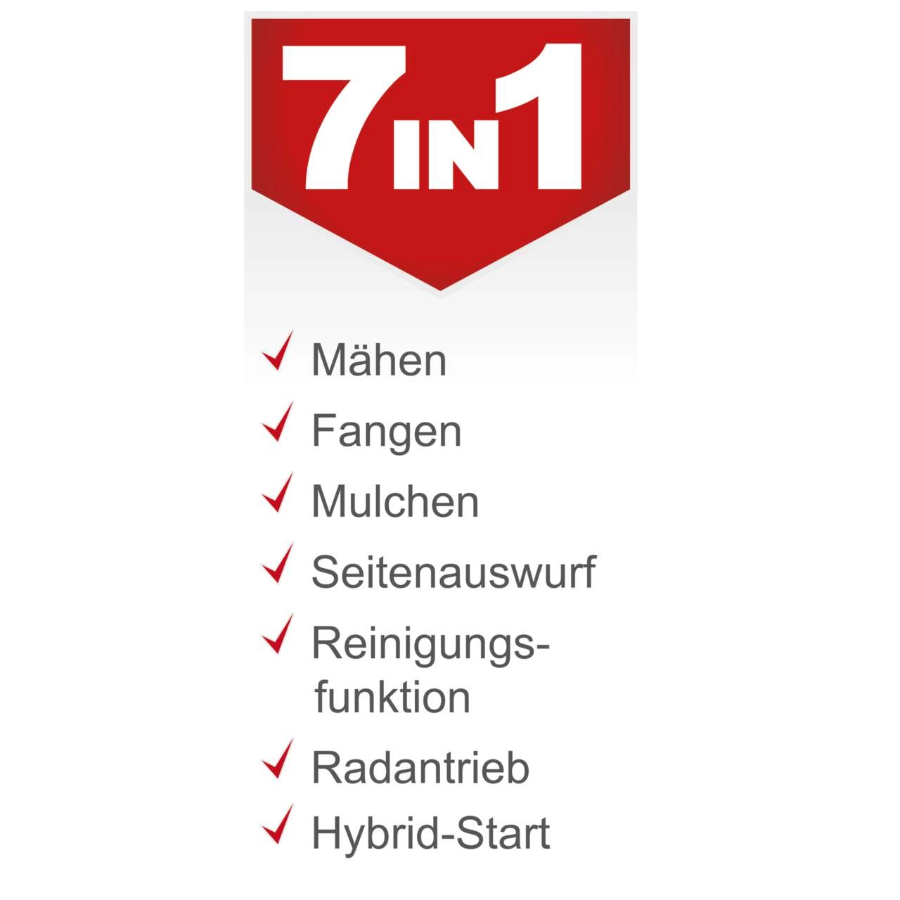 Rasenmäher MS150-46E Scheppach - 3,7PS | 46cm | 55L | Antrieb | E-Start
