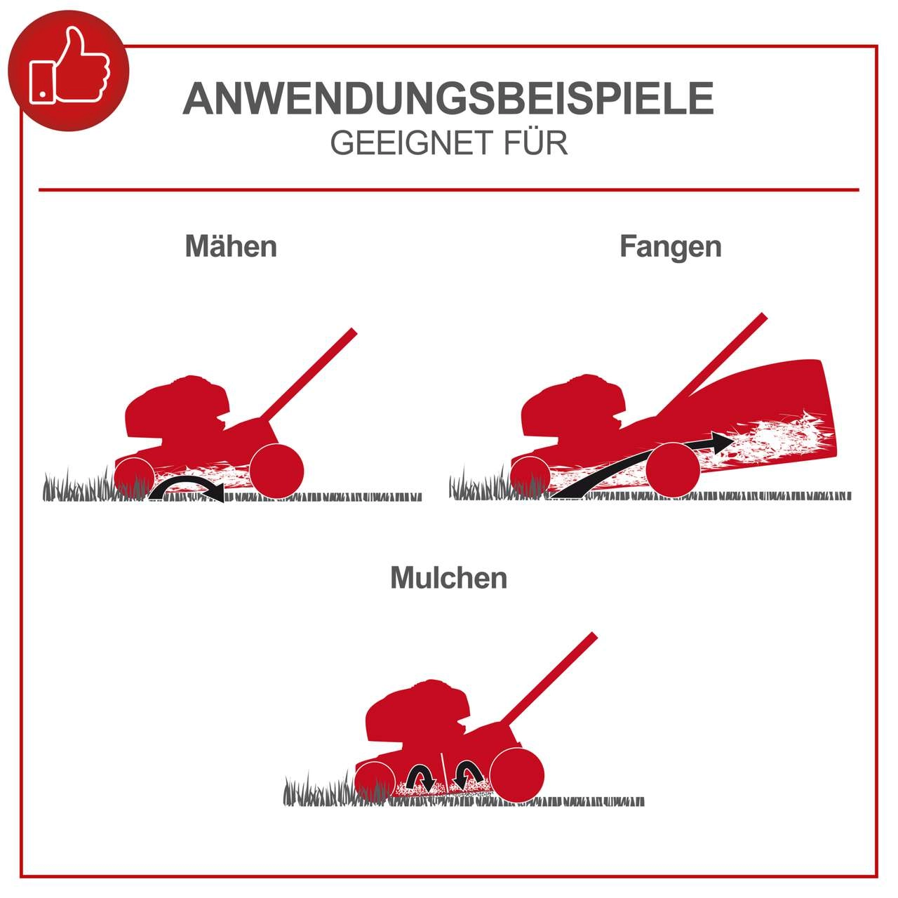 Rasenmäher MS173-51 SE scheppach - 4.1PS | 510mm Schnittbreite | 65L Fangbox