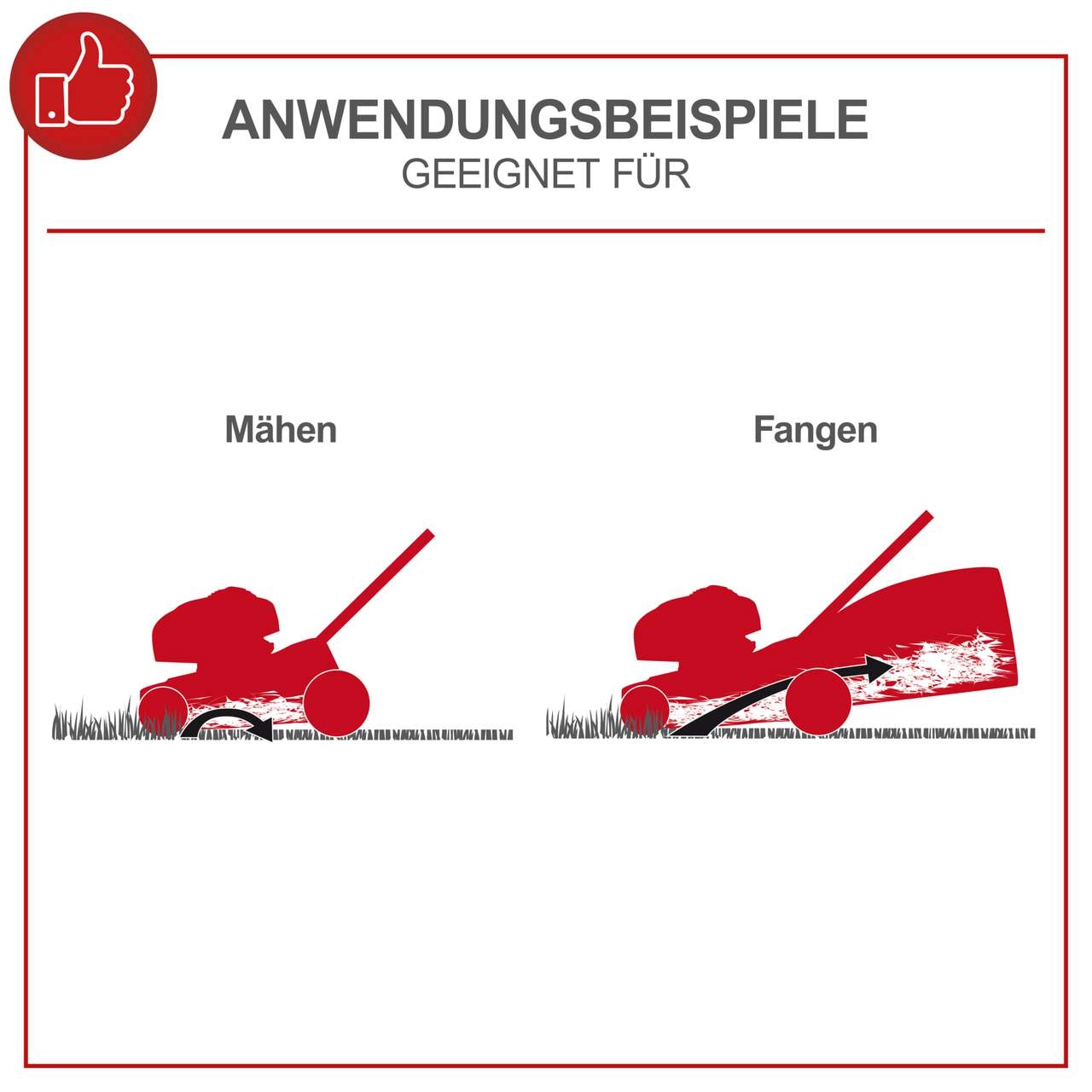 Benzinrasenmäher MP132-42 - 3.3PS Scheppach | 420mm Schnittbreite | 45L Fangbox | mit 2. Messer & Motoröl