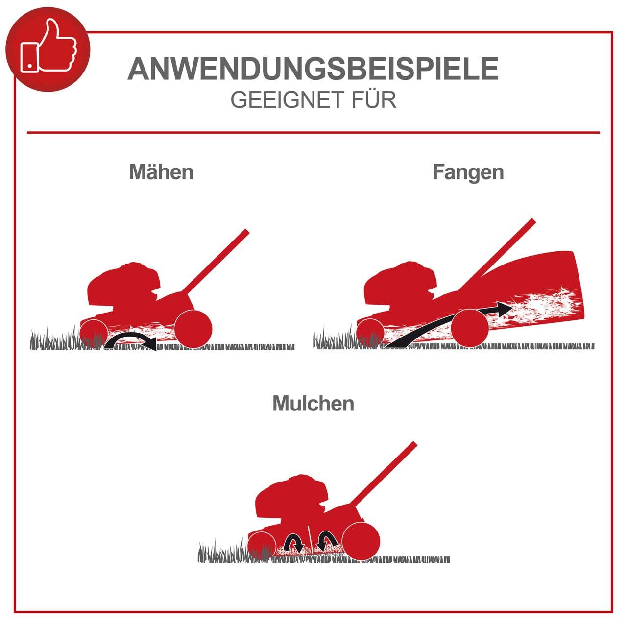 Benzin Rasenmäher MS150-42 Scheppach - 3,5PS | 42cm Schnittbreite | Radantrieb | 45L Fangbox