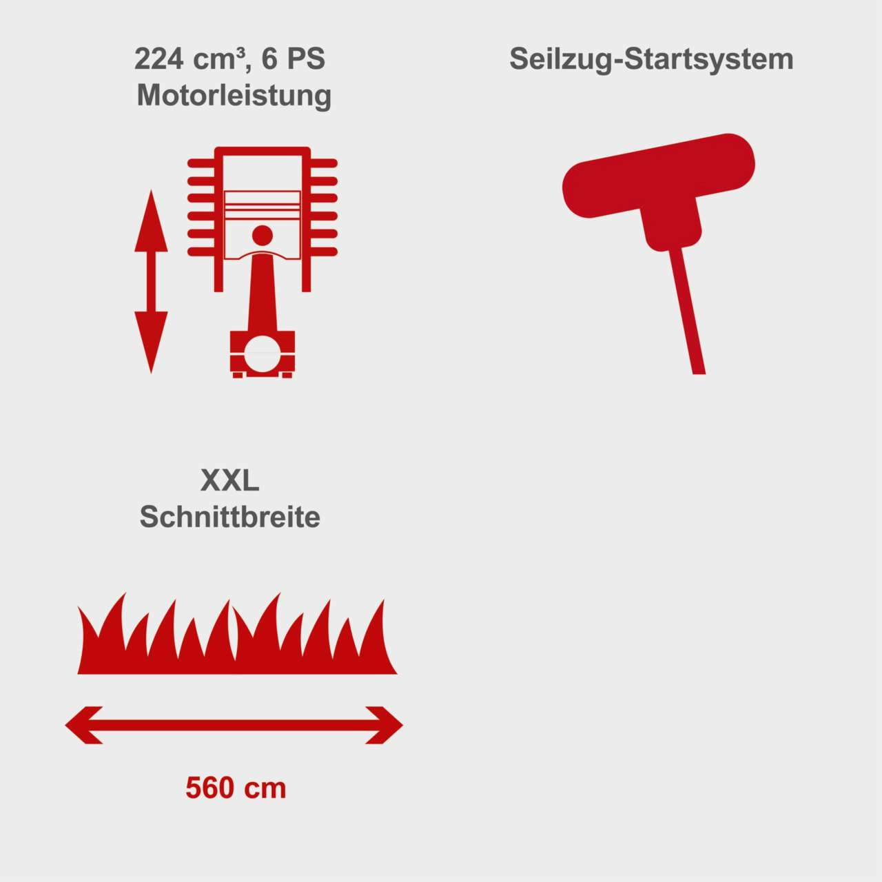 Benzin-Rasenmäher MS225-56 scheppach - 6PS | 56cm Schnittbreite | Antrieb | 65L Fangbox