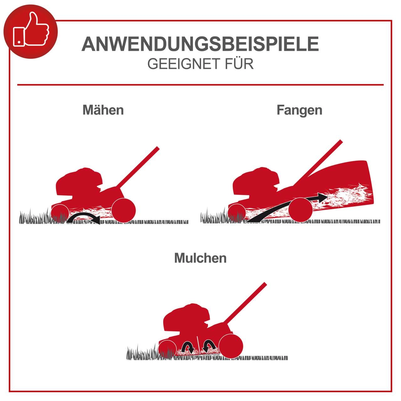 Benzin-Rasenmäher MS225-56 scheppach - 6PS | 56cm Schnittbreite | Antrieb | 65L Fangbox