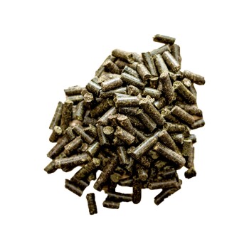 St. Hippolyt Atemwegskur Mucolyt 10 kg