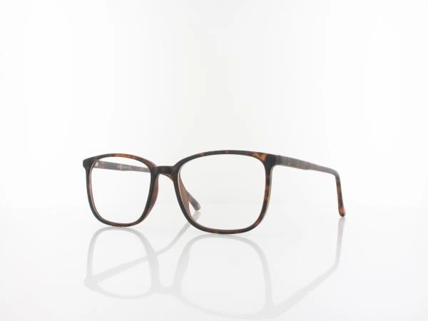 Brilando CP128 E 53 turtle