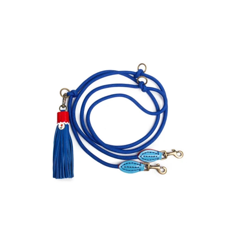 DWAM Leine Dutchi S Rot Blau für Welpen | für alle Hunde | Lederleine | 3-fach verstellbar | Handarbeit | Boho | liebevolle Details