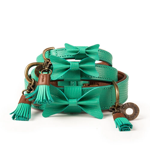 DWAM Halsband Boomer M Türkis