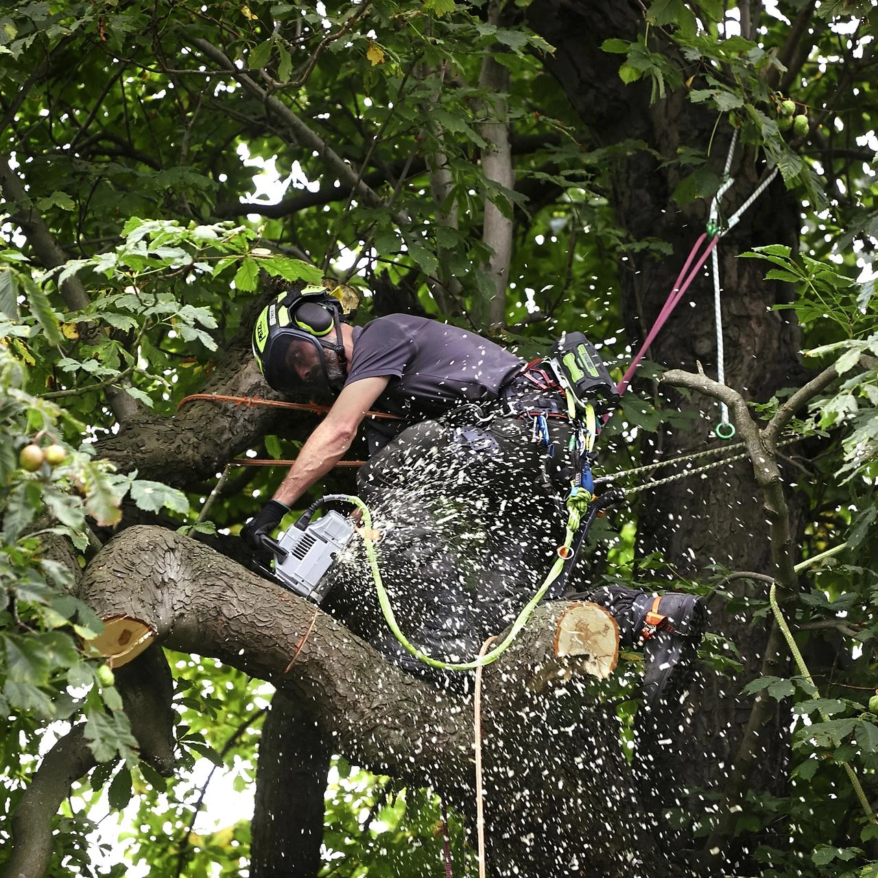 EGO CSX3000 30cm Akku-Top Handle Säge