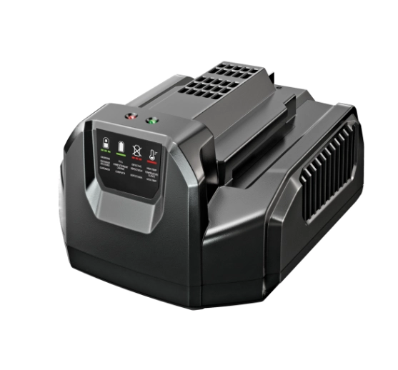 EGO CH2100E Standard-Ladegerät