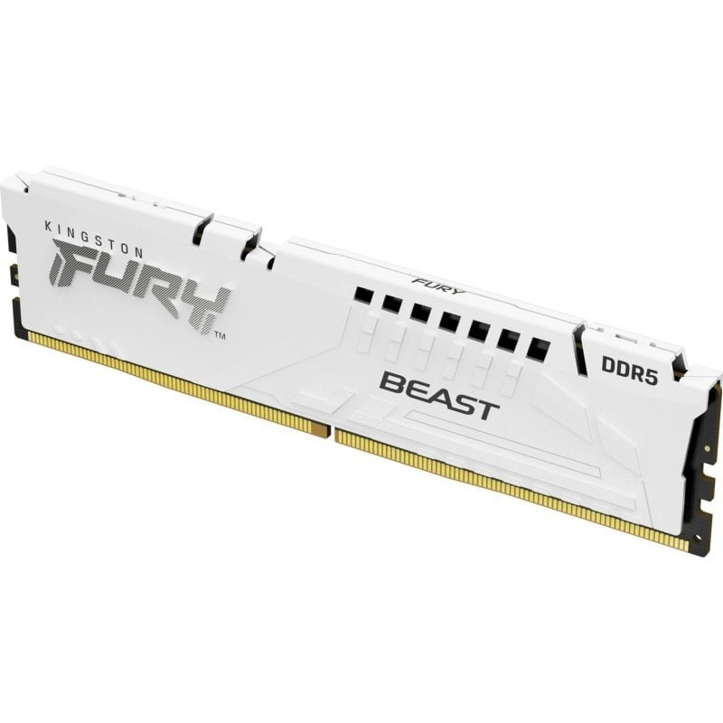 Kingston Technology FURY Beast Speichermodul 1 x 32 GB (KF556C36BWE-32)